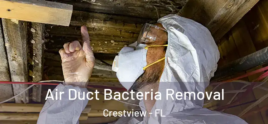  Air Duct Bacteria Removal Crestview - FL