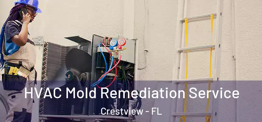 HVAC Mold Remediation Service Crestview - FL