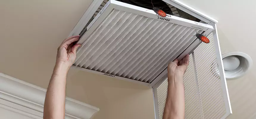 Preventive Cockroach-Proofing for Ducts in Crestview
