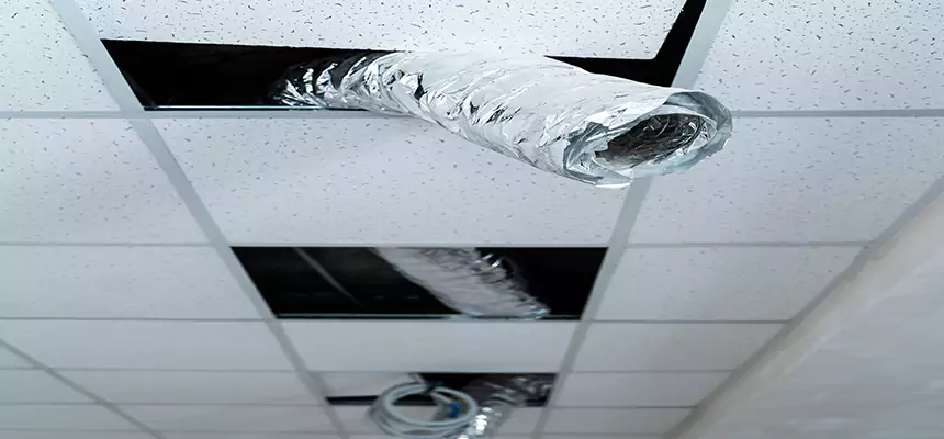 Our Air Duct Pet Hair Removal Services in Crestview, FL