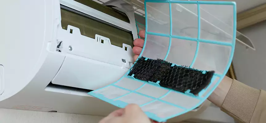 Gentle Ductwork Odor-Control Pet Dander Duct Cleaning in Crestview, FL