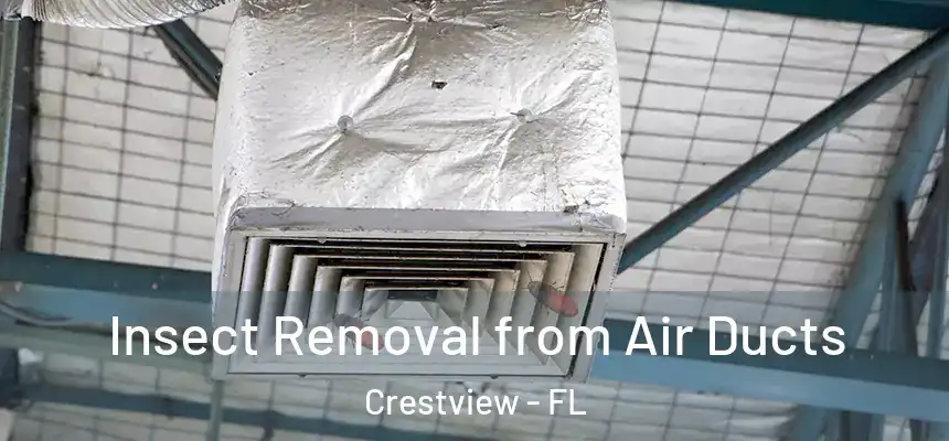  Insect Removal from Air Ducts Crestview - FL