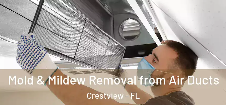  Mold & Mildew Removal from Air Ducts Crestview - FL
