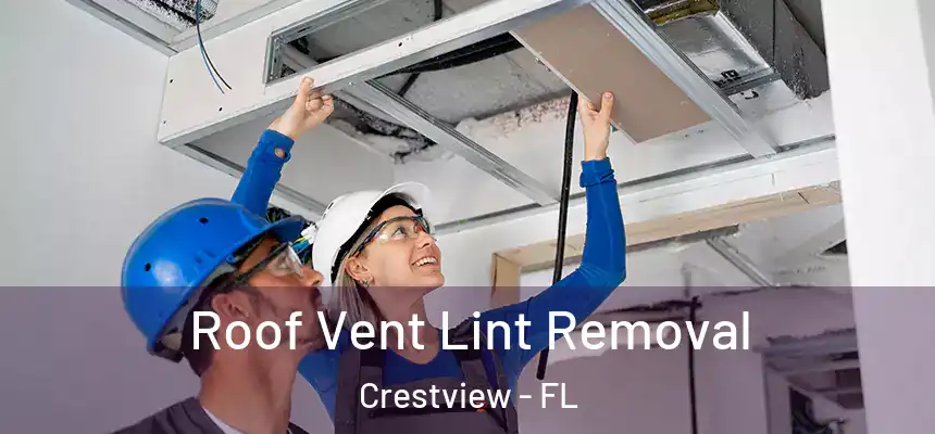  Roof Vent Lint Removal Crestview - FL