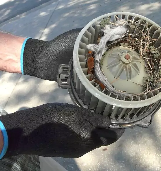 About Air Duct Mice Removal in Crestview, FL