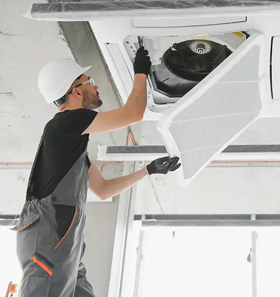 About Air Duct Rodent Removal in Crestview, FL