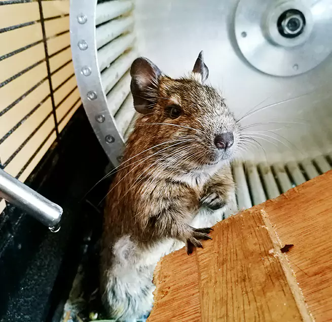 Why Homeowners & Businesses Trust Us Crestview, FL