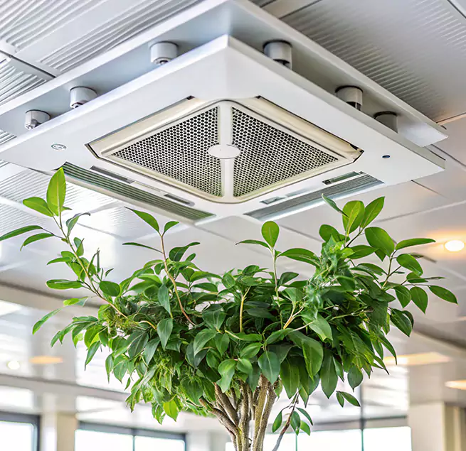 Why Homeowners & Businesses Trust Us in Crestview, FL?